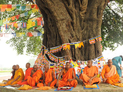 Where Buddha Walked